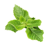 Hectarul - Seminte de menta aromata, 0,2 grame